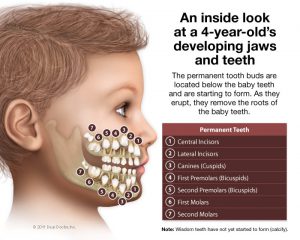 Pediatric Dentistry Lincoln Park, Lakeview, Chicago